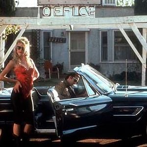 Fotoğraf Vahşi Duygular