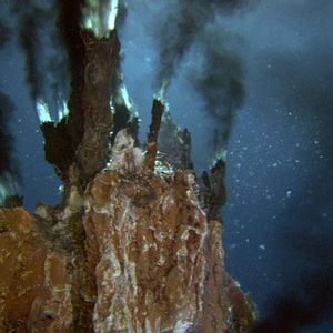 Fotoğraf Aliens of the Deep