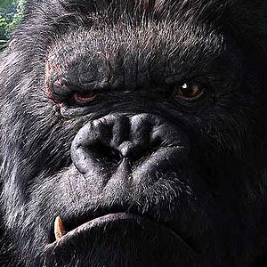 Fotoğraf King Kong