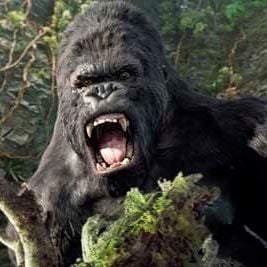 Fotoğraf King Kong