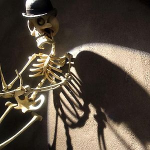 Fotoğraf Mike Johnson