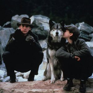 Fotoğraf Meredith Salenger