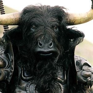 Fotoğraf Andrew Adamson