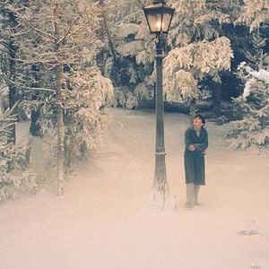 Fotoğraf Andrew Adamson