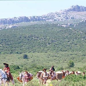 Fotoğraf Mary McGuckian