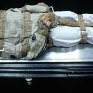 Fotoğraf Çıldırış