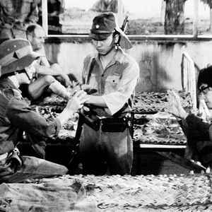 Fotoğraf Nagisa Oshima