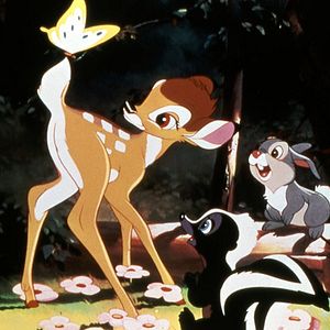 Fotoğraf Bambi
