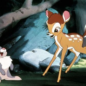 Fotoğraf Bambi