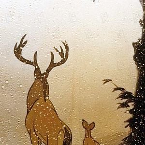Fotoğraf Bambi