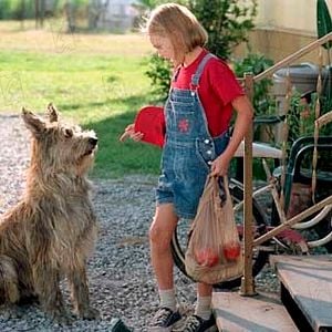 Fotoğraf AnnaSophia Robb