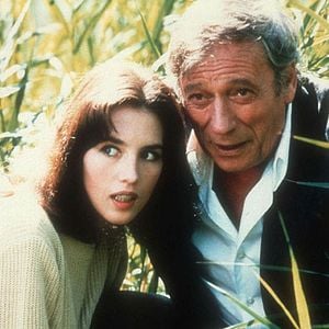 Fotoğraf Yves Montand