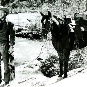 Fotoğraf Robert Mitchum