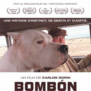 Fotoğraf Bombon Köpek