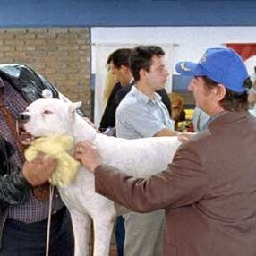 Fotoğraf Walter Donado