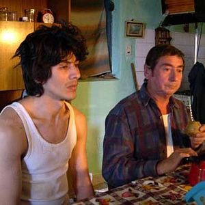 Fotoğraf Bombon Köpek