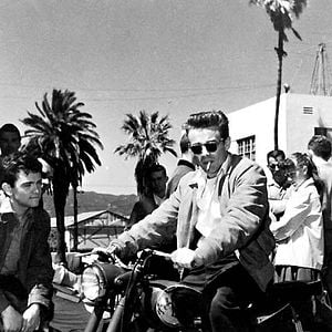 Fotoğraf Asi Gençlik