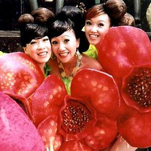 Fotoğraf Serseri Bulut