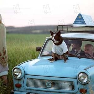 Fotoğraf Everything Is Illuminated