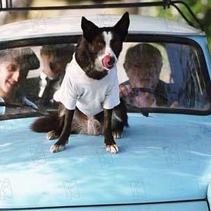 Fotoğraf Boris Lyoskin