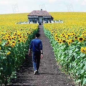 Fotoğraf Liev Schreiber