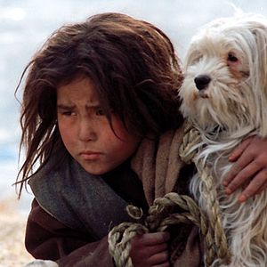 Fotoğraf Marzieh Meshkini