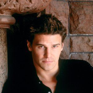 Fotoğraf David Boreanaz