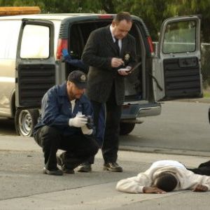 Fotoğraf Paul Guilfoyle (II)