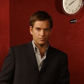 Fotoğraf Michael Weatherly