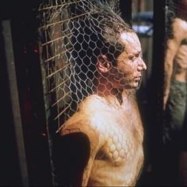 Fotoğraf David Duchovny