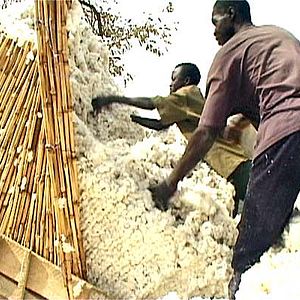 Fotoğraf Olivier Zuchuat