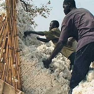 Fotoğraf Olivier Zuchuat