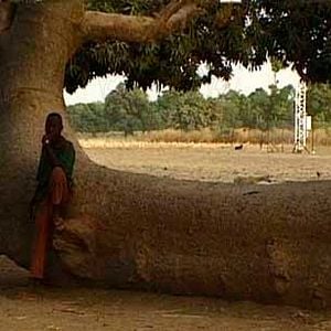 Fotoğraf Olivier Zuchuat