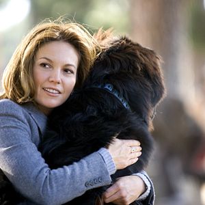 Fotoğraf Aşkla Randevu