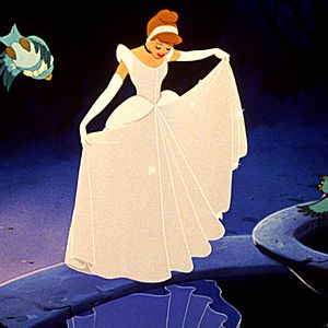 Fotoğraf Külkedisi