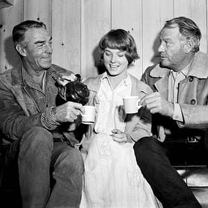 Fotoğraf Mariette Hartley