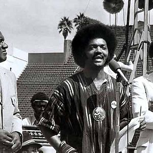 Fotoğraf Mel Stuart