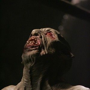 Fotoğraf Supernatural