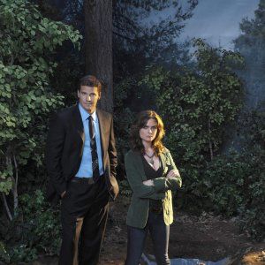 Fotoğraf David Boreanaz