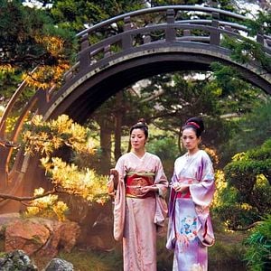 Fotoğraf Bir Geyşanın Anıları