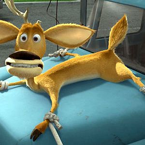 Fotoğraf Anthony Stacchi