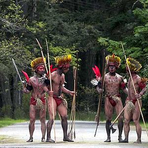 Fotoğraf Griffin Dunne