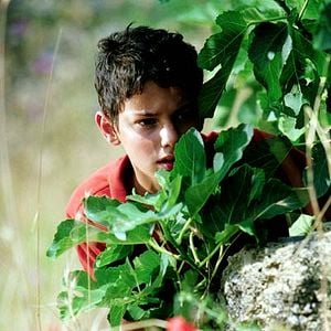 Fotoğraf Giuseppe Cristiano