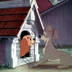 Fotoğraf Hamilton Luske