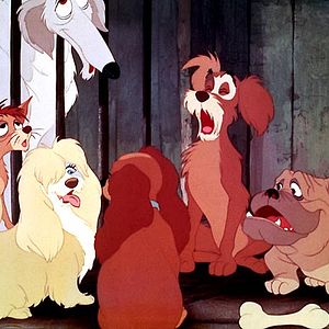 Fotoğraf Hamilton Luske