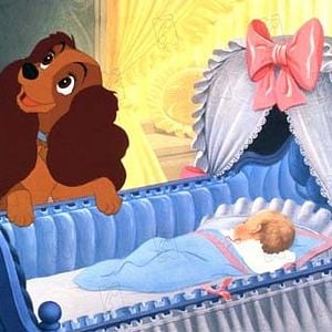 Fotoğraf Lady ile Sokak Köpeği