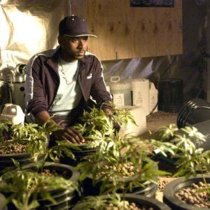 Fotoğraf Romany Malco