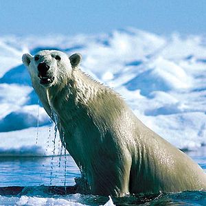 Fotoğraf Beyaz Gezegen