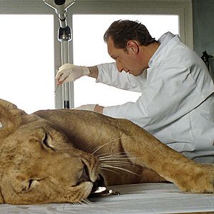 Fotoğraf Hayatım Ellerinde