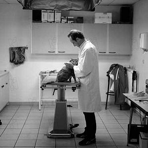 Fotoğraf Anne Fontaine